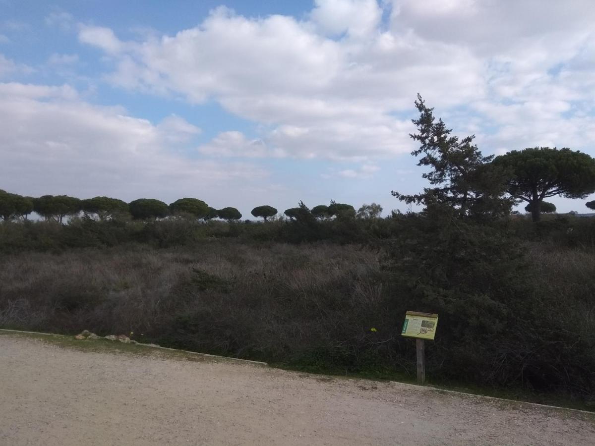 Tu Denscanso En Valdelagrana Frente Al Mar El Puerto de Santa María Exterior foto